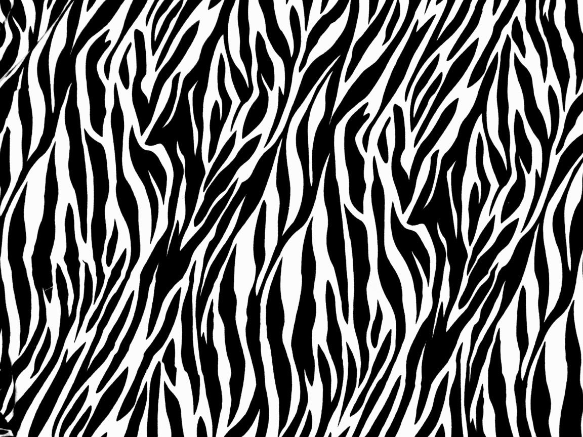 Fondo de pantalla Zebra Print 1152x864