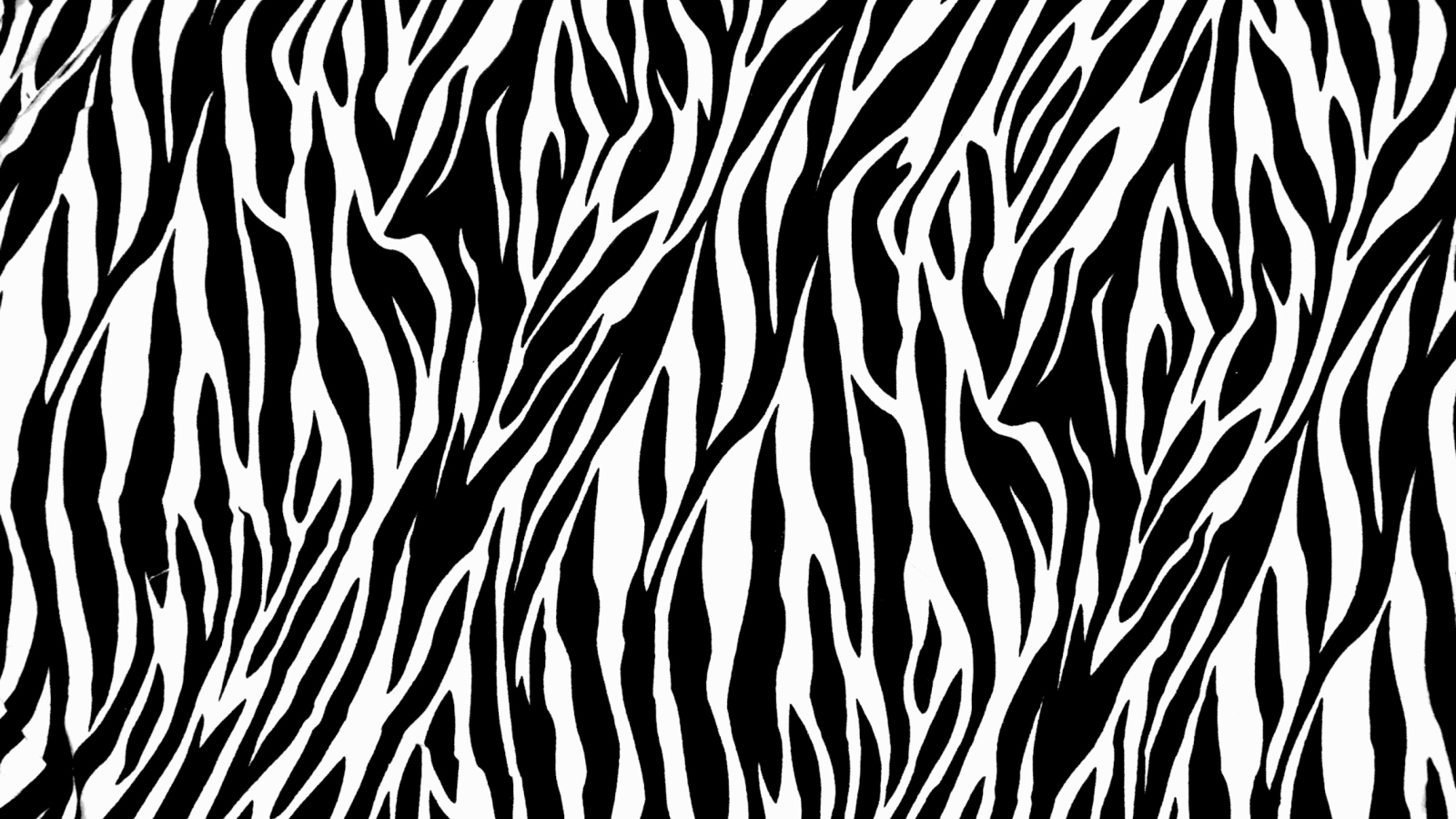 Sfondi Zebra Print 1600x900