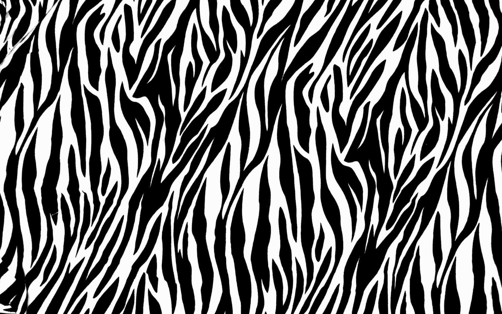 Обои Zebra Print 1680x1050