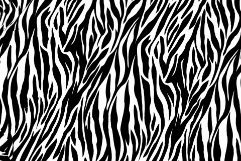 Screenshot №1 pro téma Zebra Print 480x320