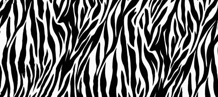 Das Zebra Print Wallpaper 720x320