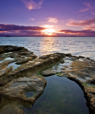 Auckland Sunset - Obrázkek zdarma pro Nokia X7