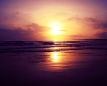 Das Beach Sunset Wallpaper 220x176