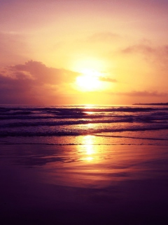 Screenshot №1 pro téma Beach Sunset 240x320