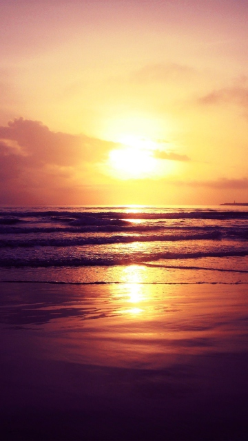 Beach Sunset wallpaper 360x640