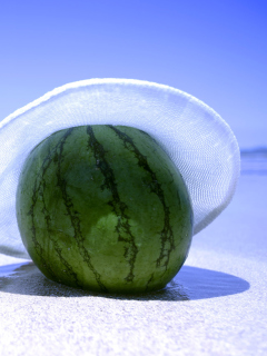 Обои Watermelon In Panama Hat 240x320