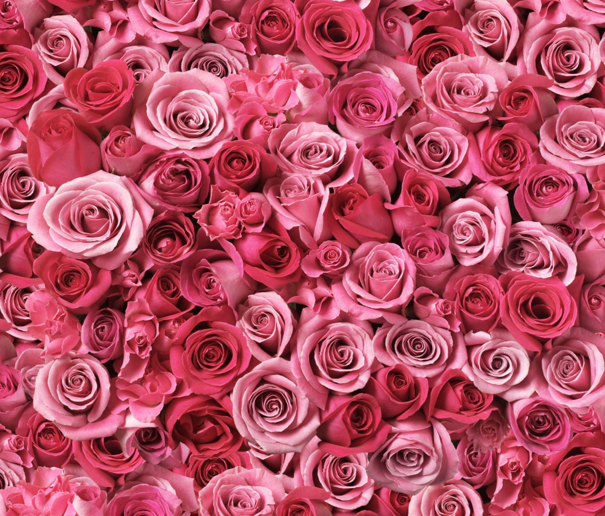 Das Flowers Of Love Wallpaper 1200x1024