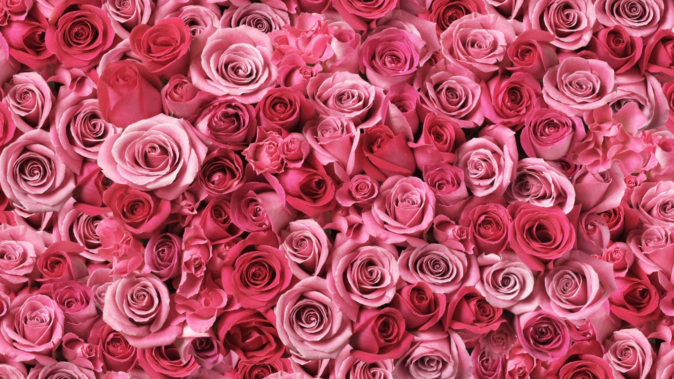 Das Flowers Of Love Wallpaper 1366x768