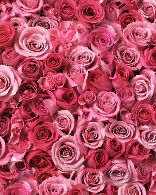 Flowers Of Love - Obrázkek zdarma pro 240x400