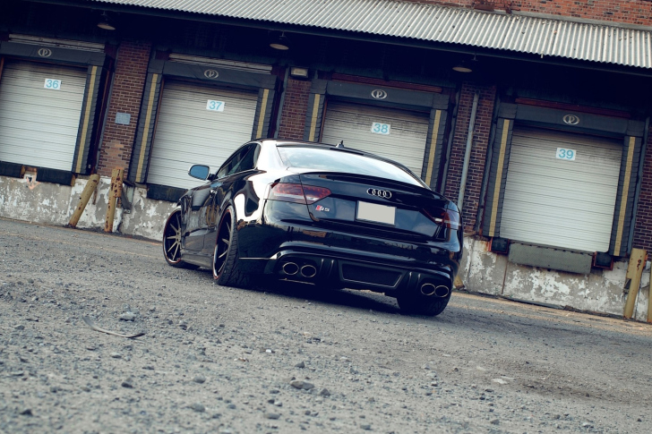 Das Audi S5 Wallpaper