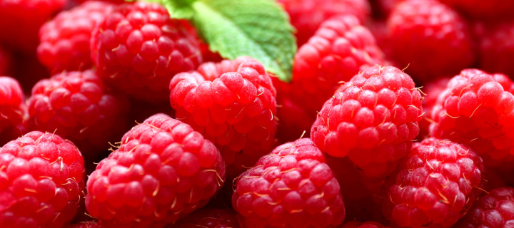 Raspberries wallpaper 720x320