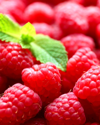 Raspberries - Obrázkek zdarma pro iPhone 6