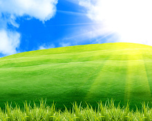 Das Positive Motivational Windows Wallpaper 220x176