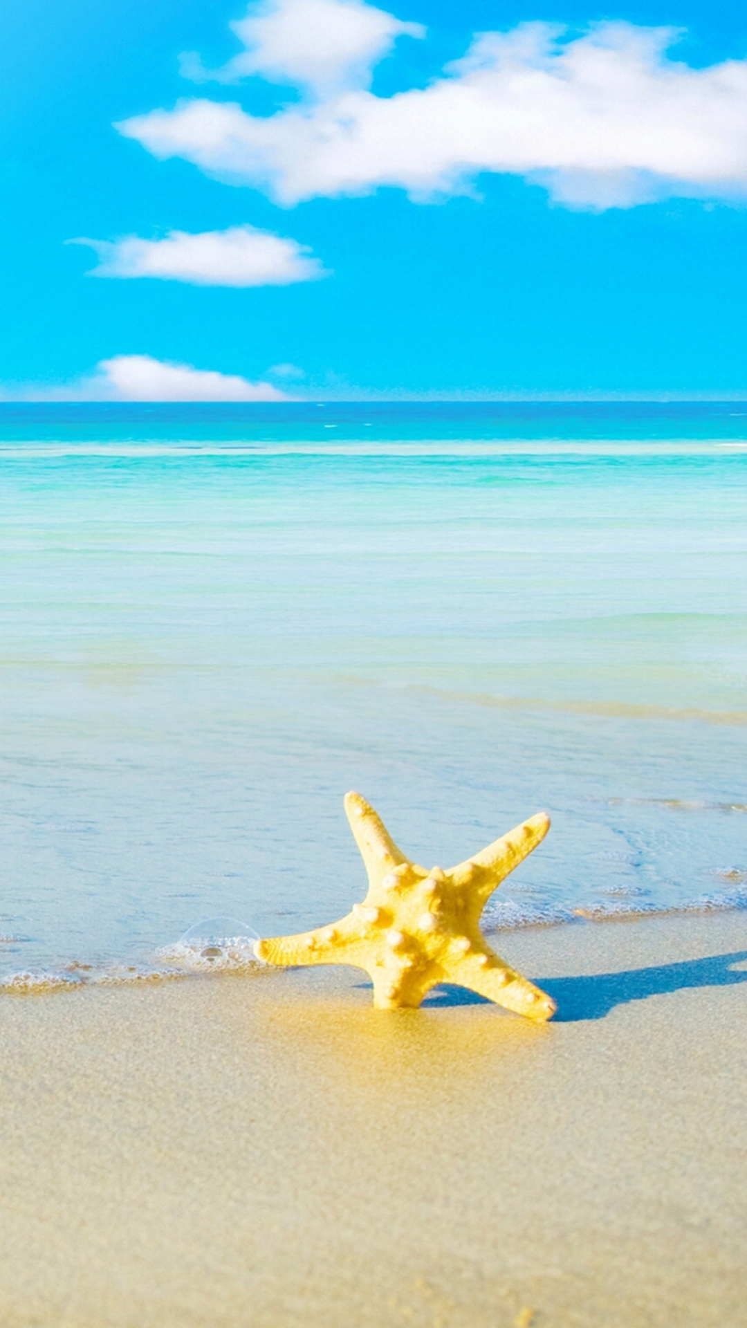 Das Starfish at summer beach Wallpaper 1080x1920
