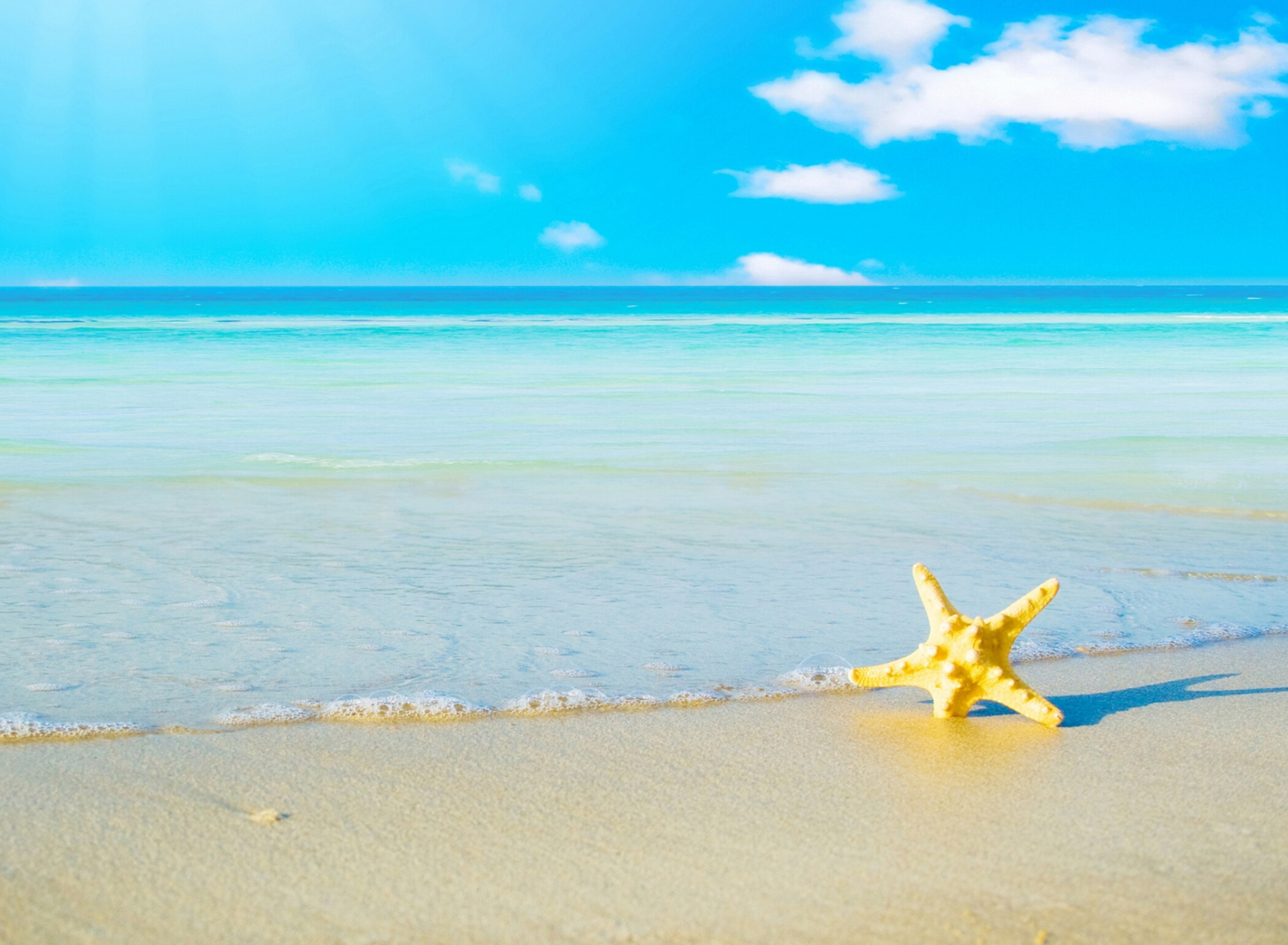 Starfish at summer beach wallpaper 1920x1408