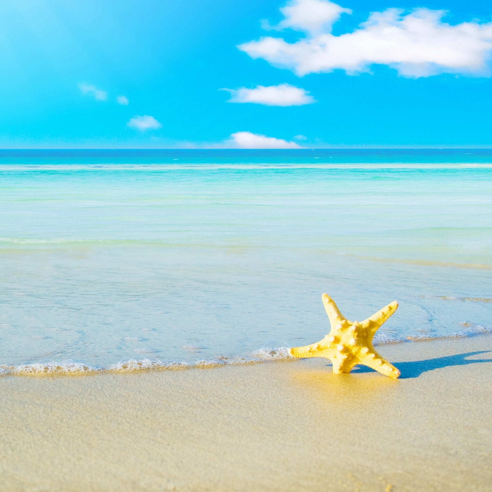 Screenshot №1 pro téma Starfish at summer beach 2048x2048