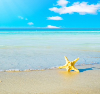 Kostenloses Starfish at summer beach Wallpaper für iPad 3
