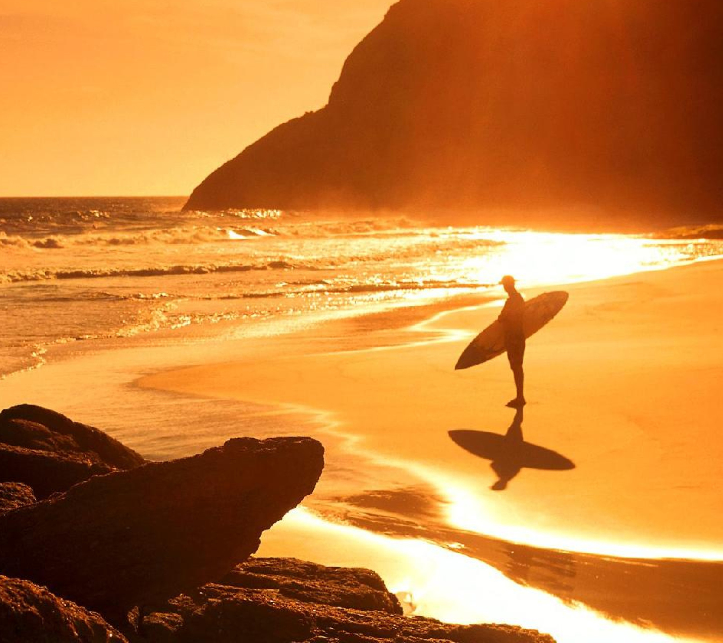 Fondo de pantalla Surfing Summer 1440x1280