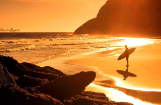 Surfing Summer - Obrázkek zdarma pro Google Nexus 5