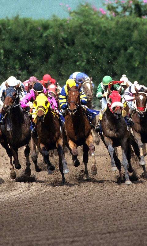 Sfondi Jockeys Riding Horses 480x800