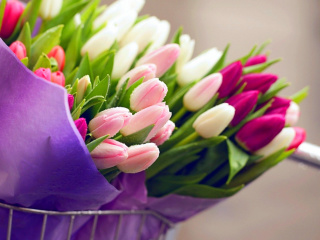 Tulips for You wallpaper 320x240