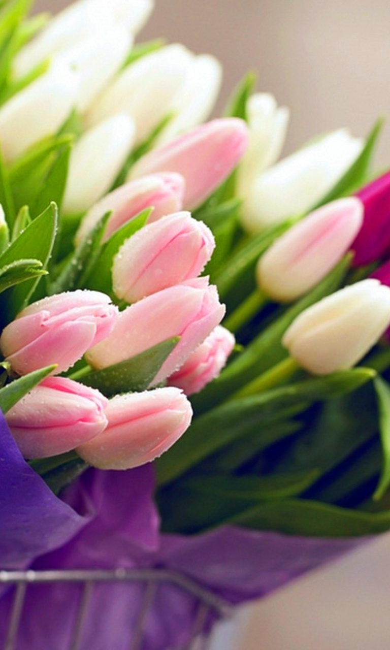 Tulips for You wallpaper 768x1280