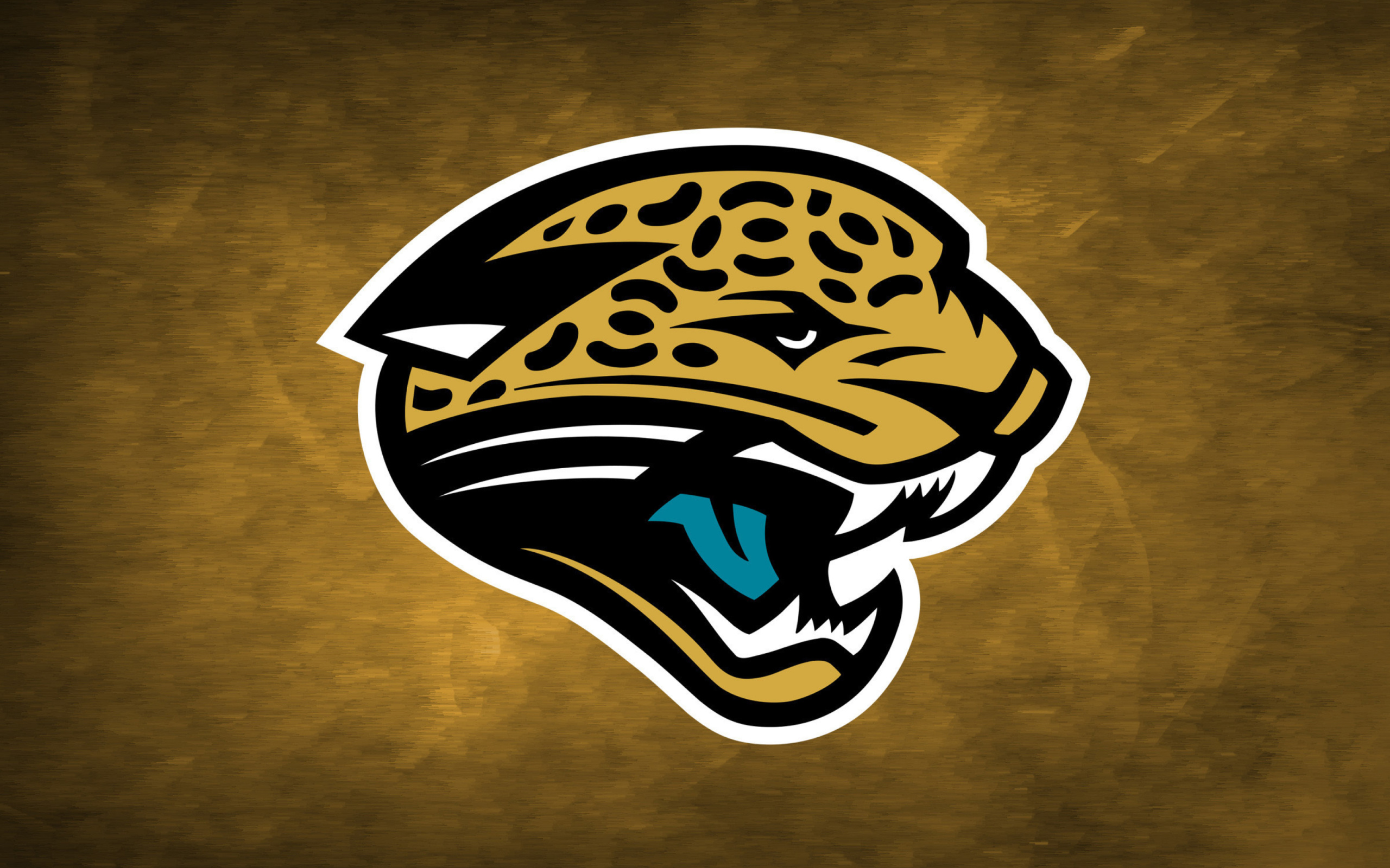 Jacksonville Jaguars NFL screenshot #1 2560x1600
