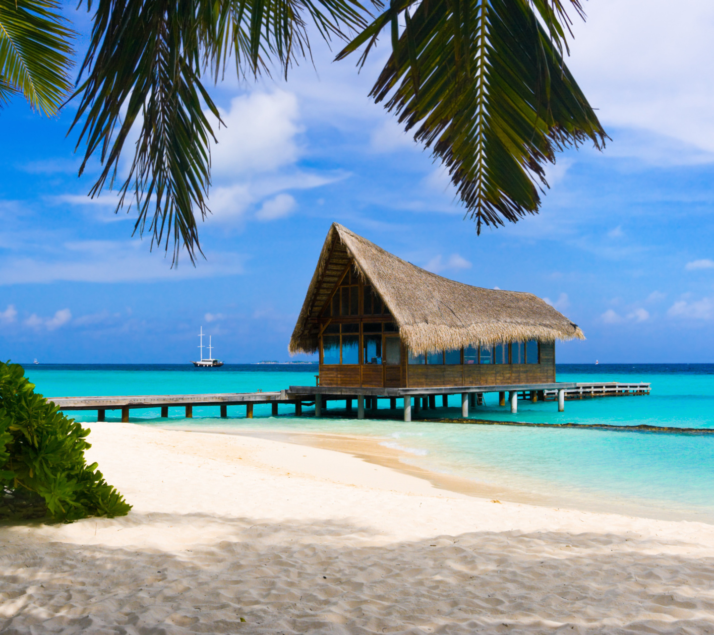 Fondo de pantalla Bahamas Grand Lucayan Resort 1440x1280