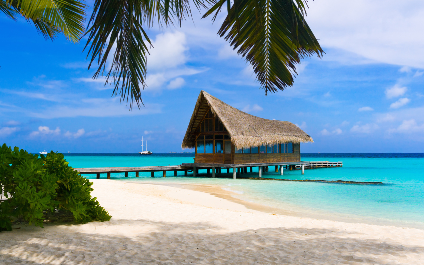 Fondo de pantalla Bahamas Grand Lucayan Resort 1440x900