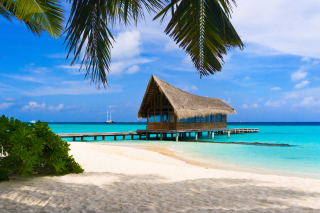 Bahamas Grand Lucayan Resort - Fondos de pantalla gratis 
