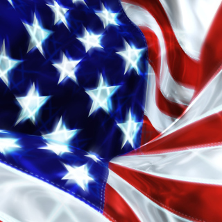 USA Flag Celebration - Obrázkek zdarma pro 208x208