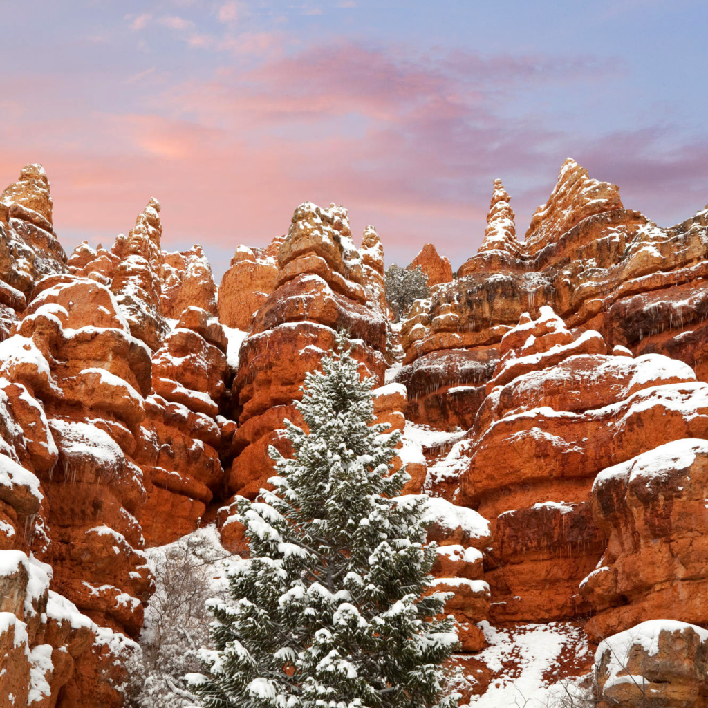 Screenshot №1 pro téma Snow in Red Canyon State Park, Utah 1024x1024