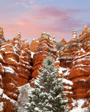 Snow in Red Canyon State Park, Utah wallpaper 128x160