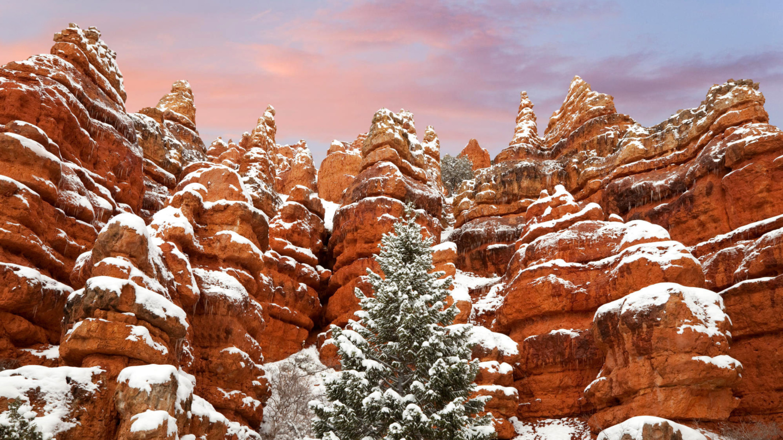 Screenshot №1 pro téma Snow in Red Canyon State Park, Utah 1600x900