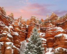 Screenshot №1 pro téma Snow in Red Canyon State Park, Utah 220x176
