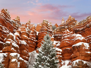 Sfondi Snow in Red Canyon State Park, Utah 320x240