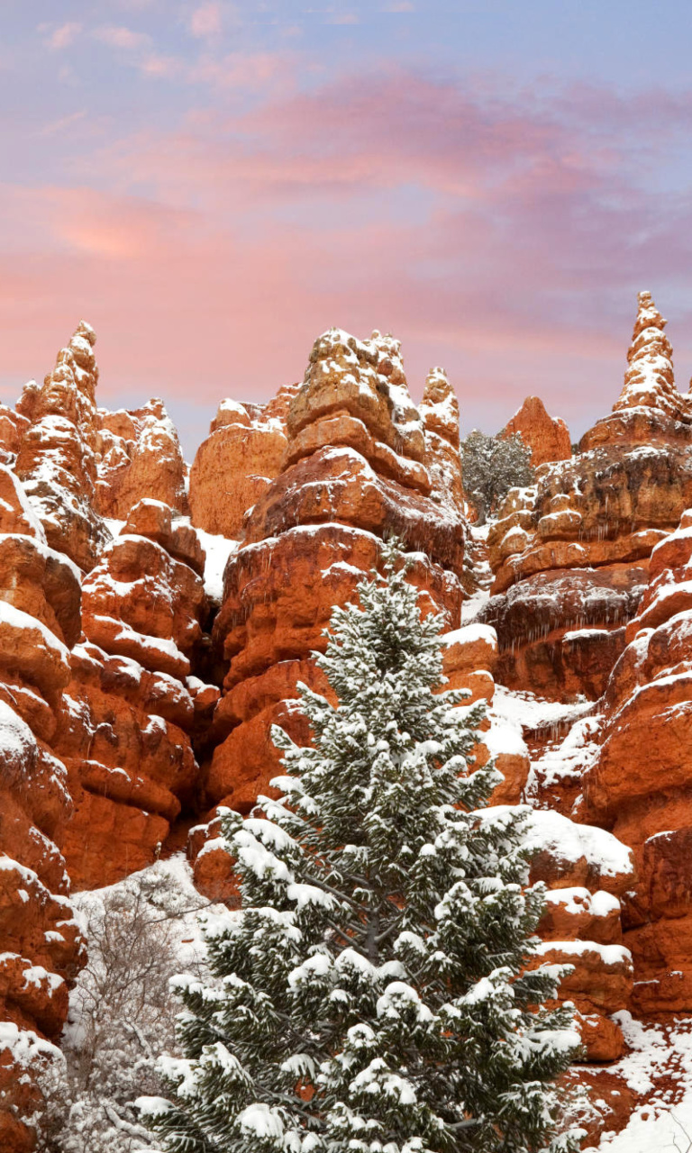 Snow in Red Canyon State Park, Utah wallpaper 768x1280