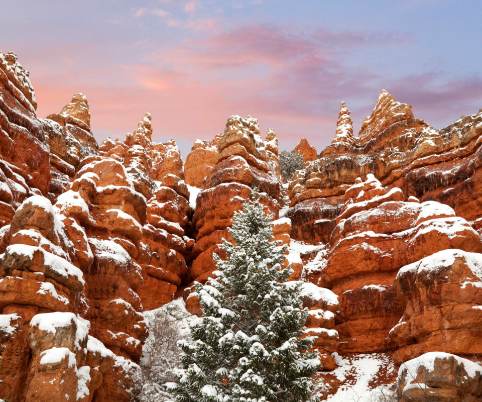 Snow in Red Canyon State Park, Utah screenshot #1 960x800