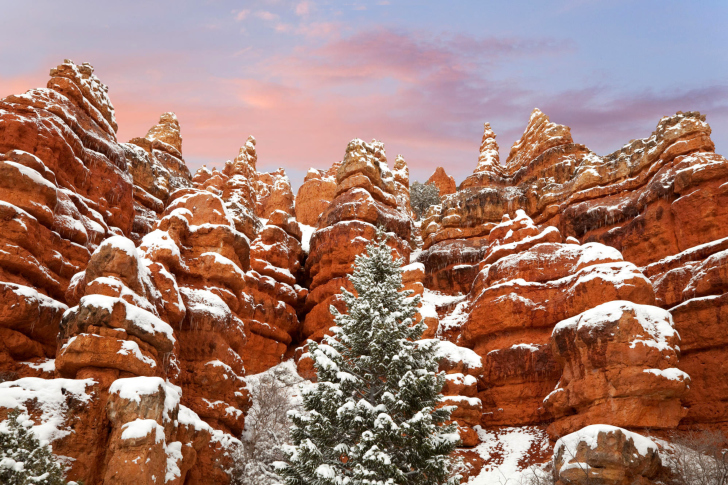 Fondo de pantalla Snow in Red Canyon State Park, Utah