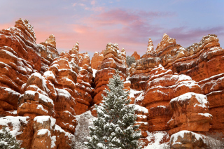 Snow in Red Canyon State Park, Utah - Obrázkek zdarma pro HTC Desire