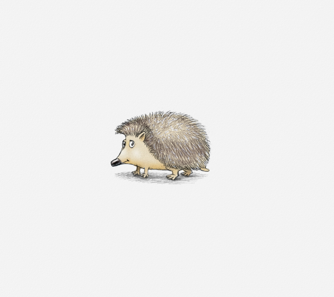 Screenshot №1 pro téma Hedgehog Illustration 1080x960