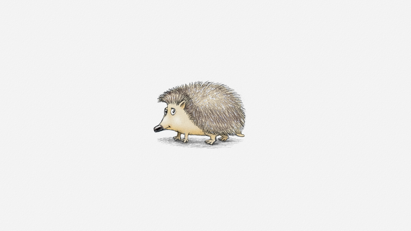 Das Hedgehog Illustration Wallpaper 1366x768