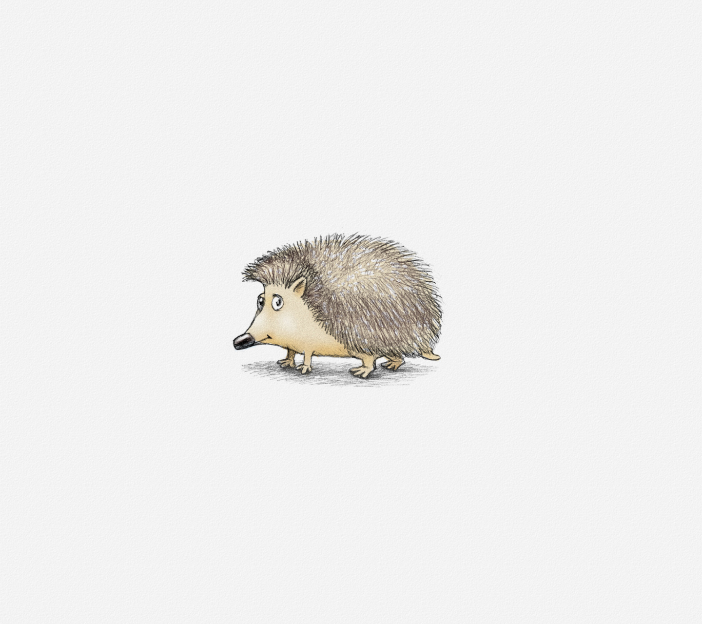 Fondo de pantalla Hedgehog Illustration 1440x1280