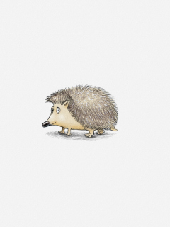 Fondo de pantalla Hedgehog Illustration 240x320