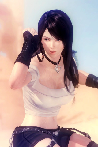 Screenshot №1 pro téma Dead or Alive 5 320x480