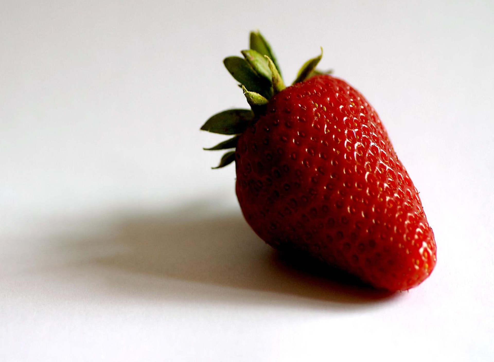 Обои Strawberry 1920x1408