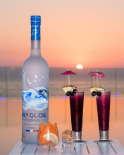 Grey Goose Vodka screenshot #1 176x220