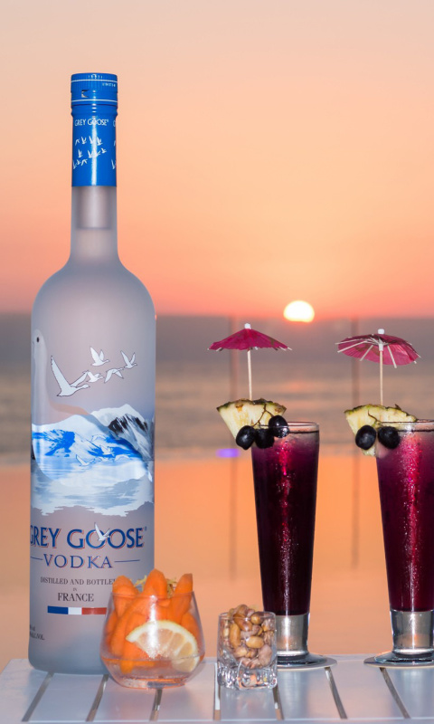 Grey Goose Vodka wallpaper 480x800