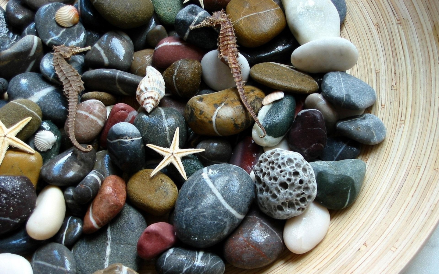 Screenshot №1 pro téma Aquatic Stones 1440x900