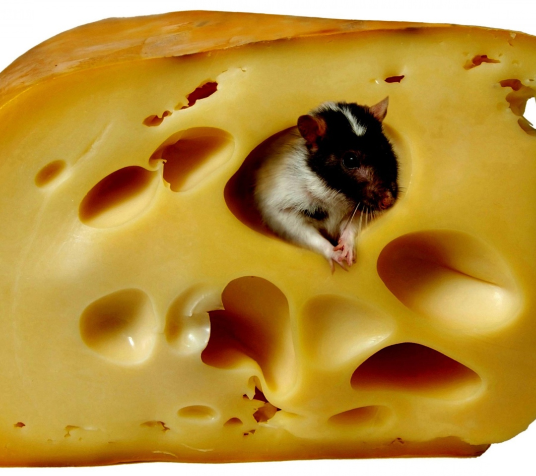 Das Mouse And Cheese Wallpaper 1080x960